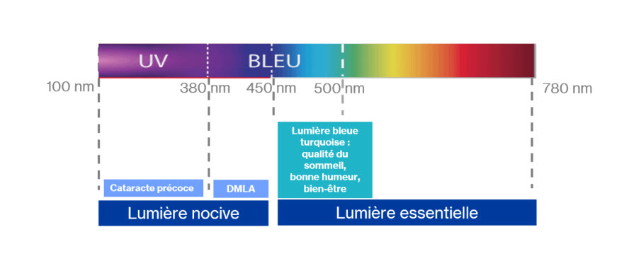 La lumière nocive et essentielle