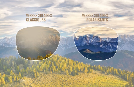 Différences verres polarisants et verres classiques